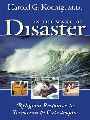 cover image of In the Wake of Disaster
